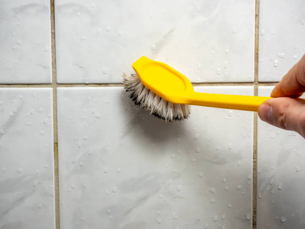 Best Mold Remediation for Schools in Enon, VA