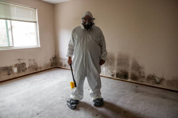Best Bathroom Mold Remediation in Enon, VA